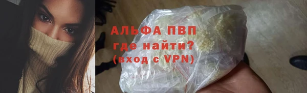 твердый Абаза