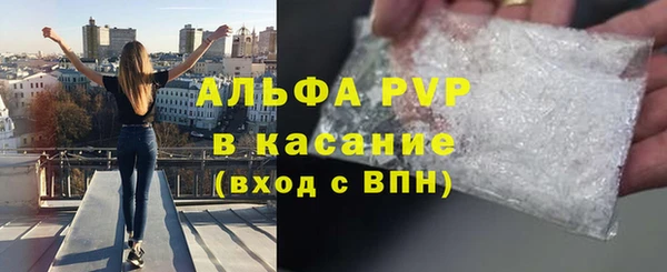 твердый Абаза