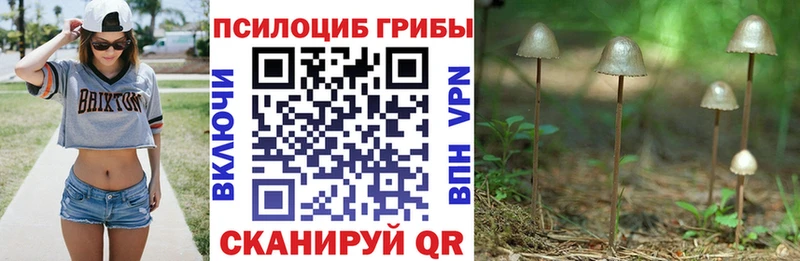 Псилоцибиновые грибы ЛСД  Иноземцево 